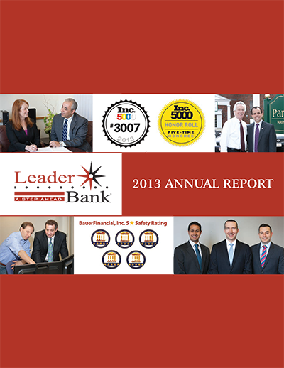 2013 Annual Report