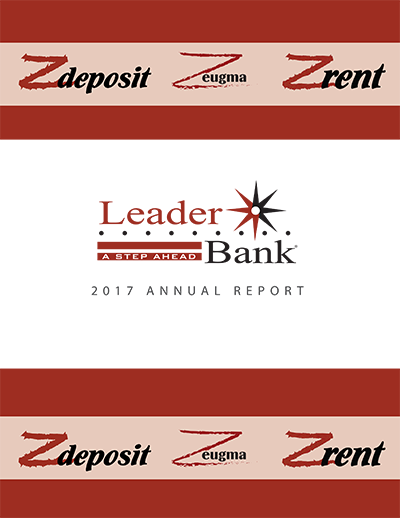 2017 Annual Report