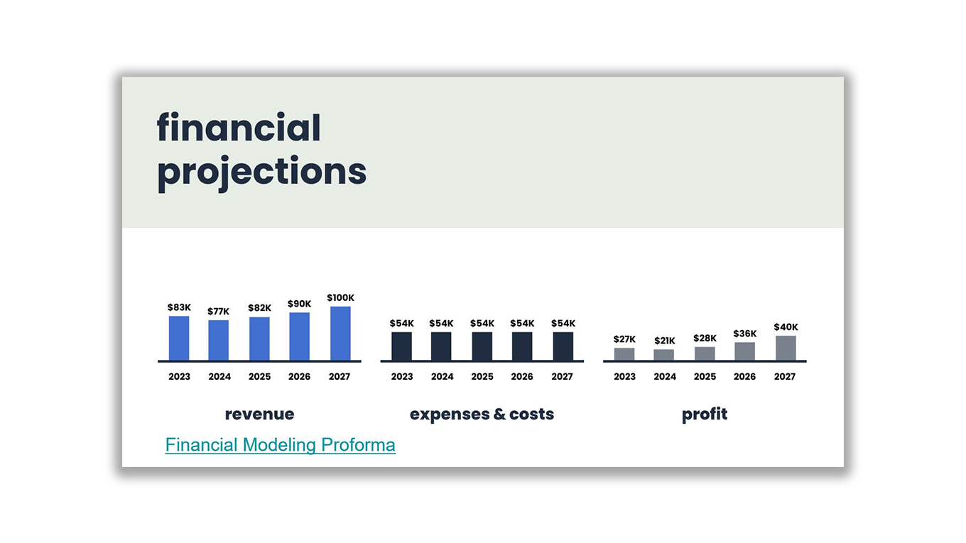 Investor Pitch Deck Example